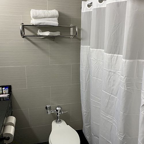 A bathroom with a toilet, shower with a white curtain, towels on a rack, toilet paper, and toiletries on a black countertop, ending the sentence.